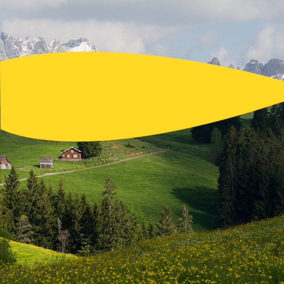 Meet your Posher, David - Picture 1 of 1